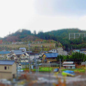 CITIES (315/532)